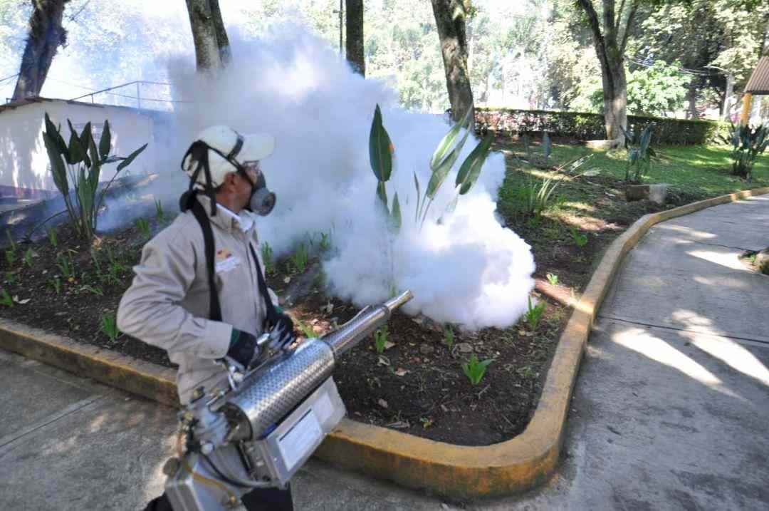 FUMIGAN EN ALAMEDA Y PARQUE DE HUATUSCO