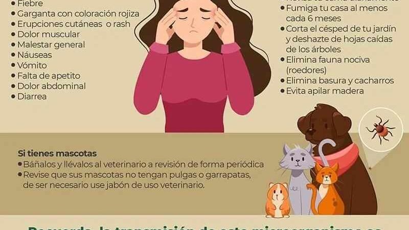 LLAMA IMSS A MANTENER A MASCOTAS LIBRES DE PULGAS Y GARRAPATAS