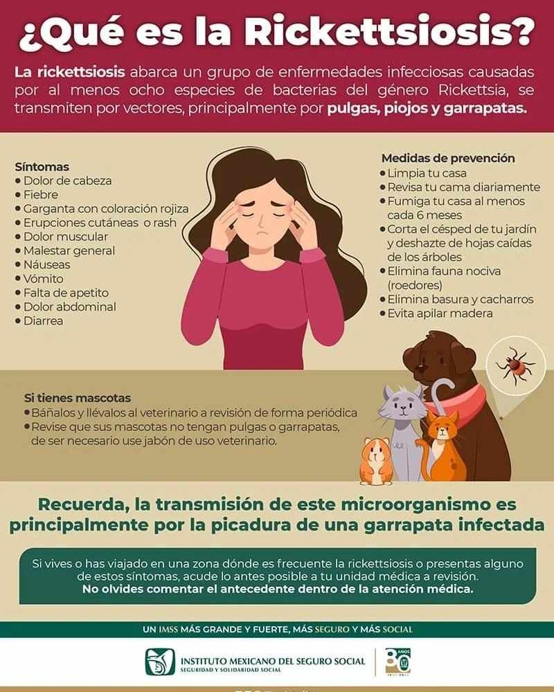 LLAMA IMSS A MANTENER A MASCOTAS LIBRES DE PULGAS Y GARRAPATAS