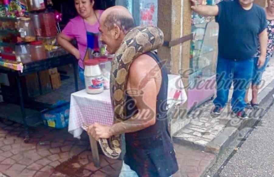 CAPTURAN A BOA; SE COMIÓ A PERRO CHIHUAHUA