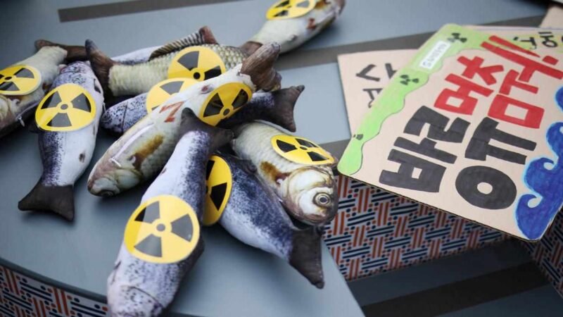 ANTE RIESGO RADIOACTIVO CHINA SUSPENDE IMPORTACIÓN DE PESCADO JAPONÉS