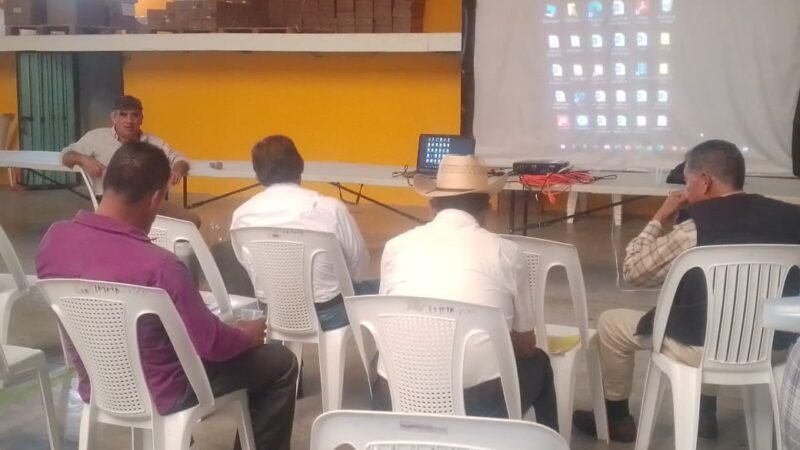 ELABORAN PADRÓN DE AGUACATEROS EN ALPATLÁHUAC