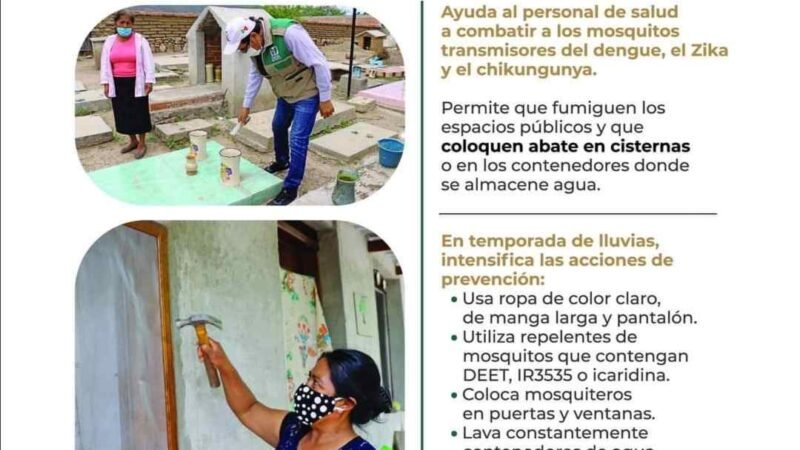 ZIKA, DE ALTO RIESGO PARA EMBARAZADAS