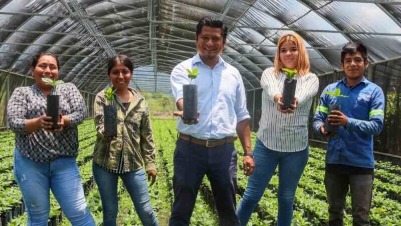 ENTREGARÁN 35 MIL PLANTAS DE CAFÉ A PRODUCTORES ATOYAQUENSES