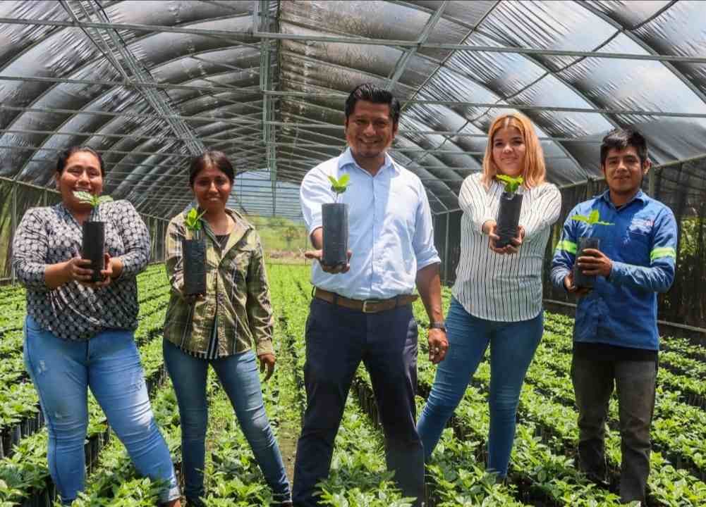 ENTREGARÁN 35 MIL PLANTAS DE CAFÉ A PRODUCTORES ATOYAQUENSES