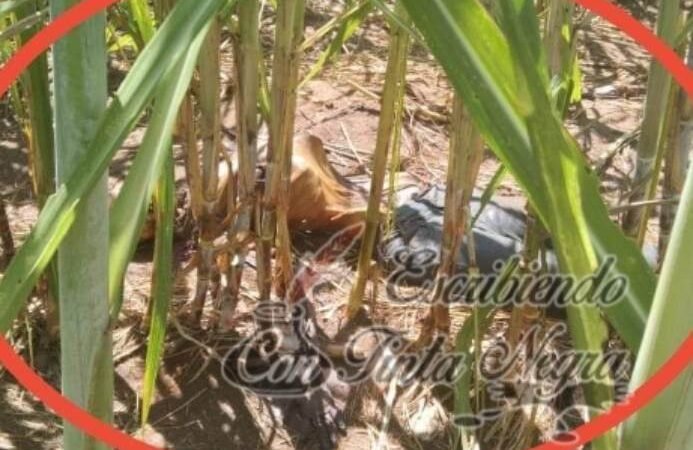 ENCUENTRAN A PAREJA PUTREFACTA