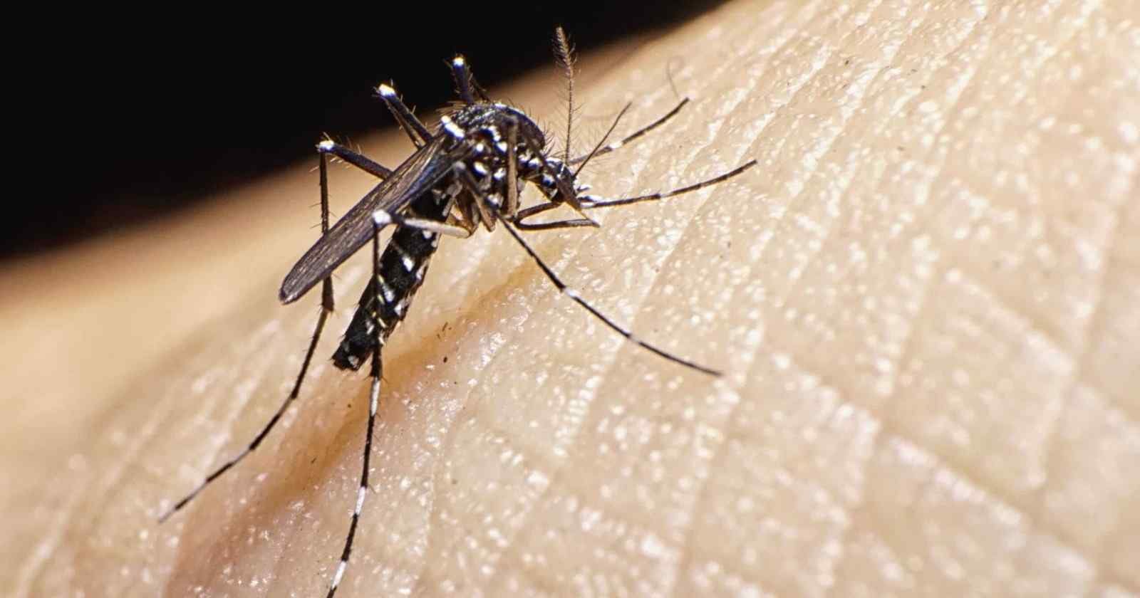 ALERTAN DE COMPLICACIONES POR DENGUE EN EMBARAZADAS, PERSONAS CON COMORBILIDADES Y NIÑOS