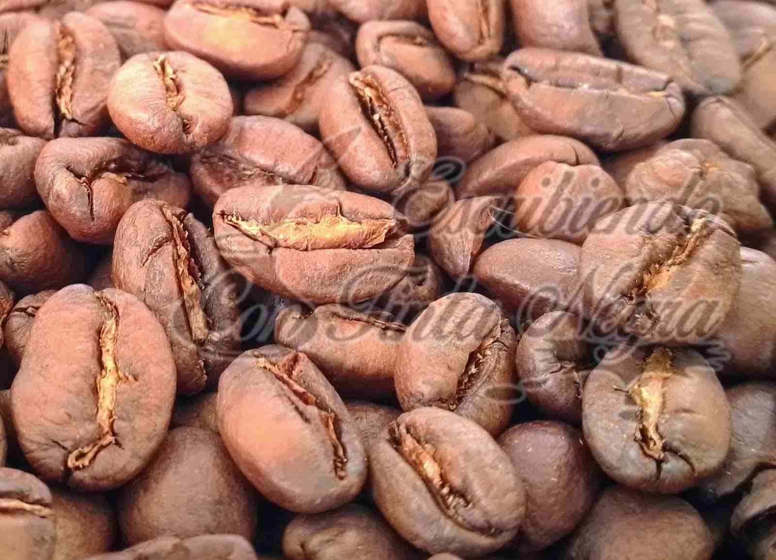 86 MARCAS DE CAFÉ VERACRUZANO SALEN AL MUNDO