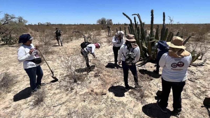 MADRES BUSCADORAS HALLAN MÁS DE 40 CUERPOS EN FOSA EN MICHOACÁN