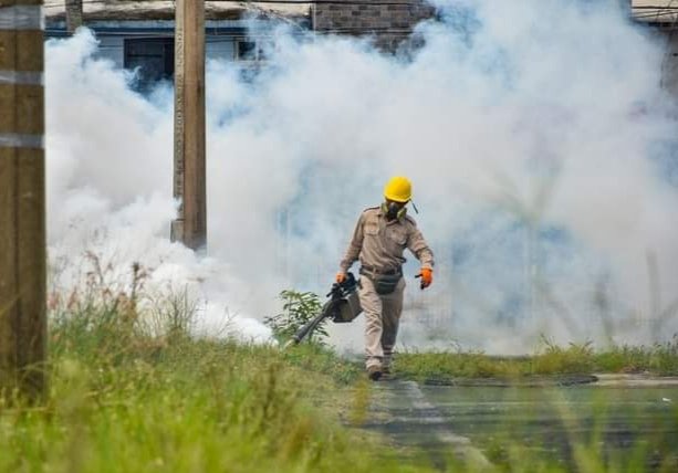 DENGUE NO CEDE; ZENTLA SE MANTIENE EN TERCER LUGAR A NIVEL ESTADO