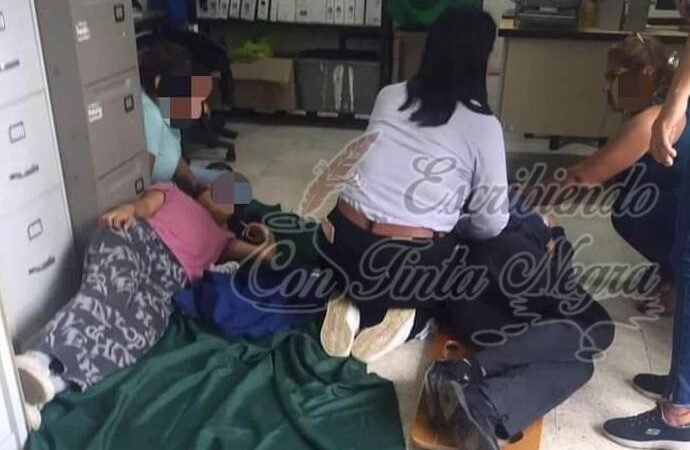 SE INTOXICAN CON BROWNIES