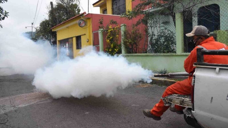 REFUERZA AYUNTAMIENTO CAMPAÑA DE FUMIGACIÓN CONTRA DENGUE