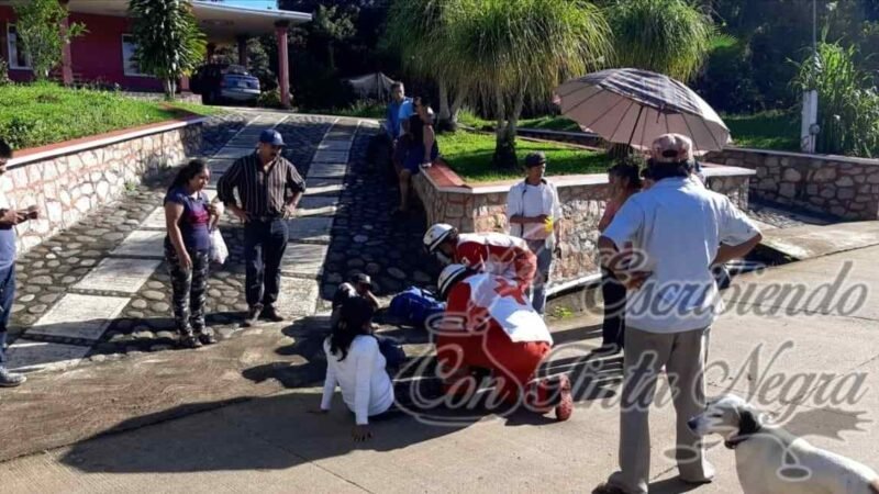 EMBISTE AUTO A MADRE E HIJO