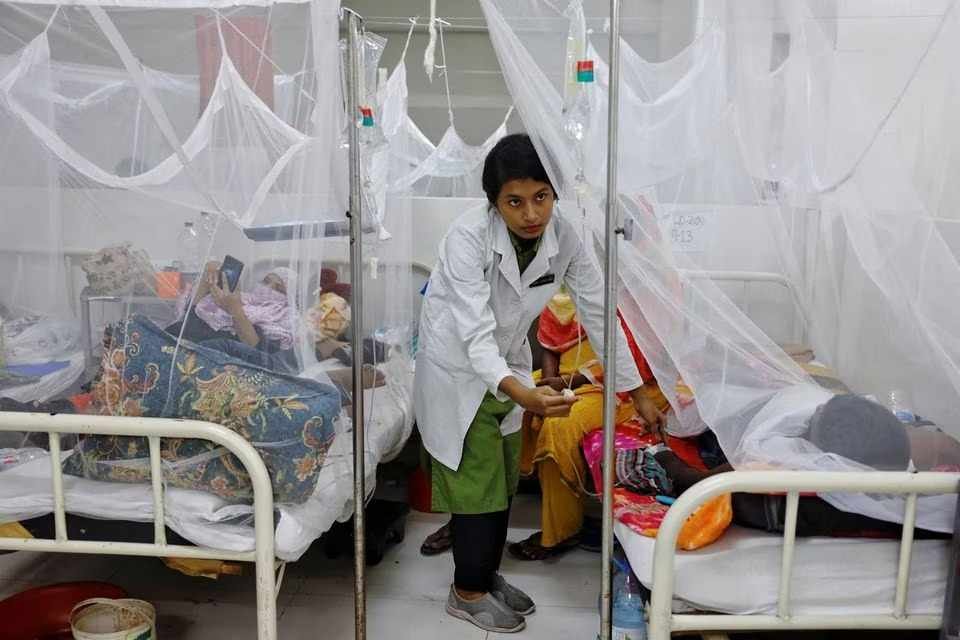 PANDEMIA DE DENGUE EN BANGLADÉS; 210 MIL CASOS CONFIRMADOS