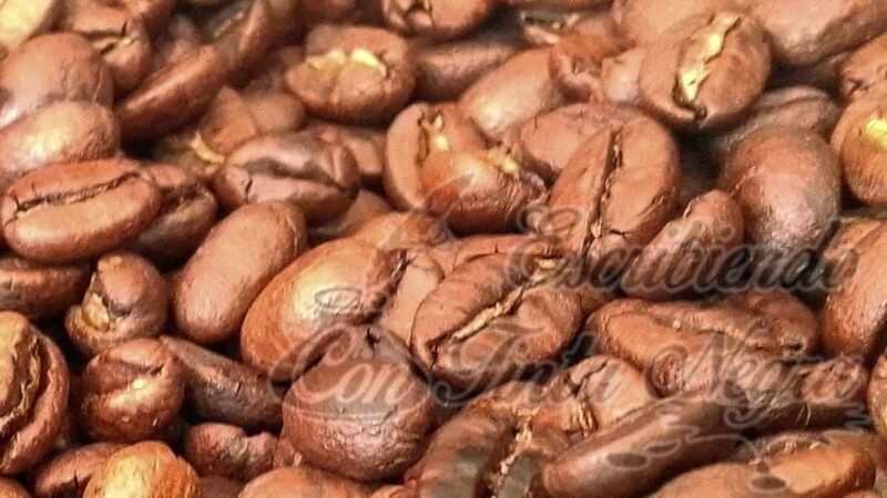 “SE COTIZAN” CORTADORES DE CAFÉ