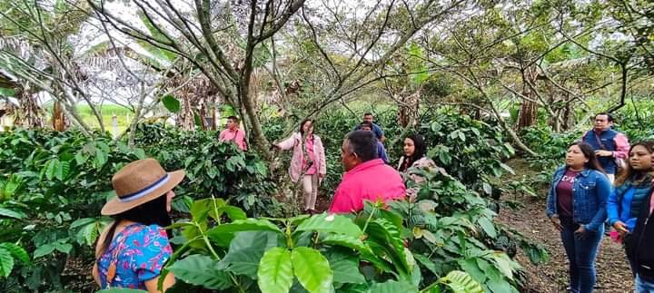 ABRIRÁN RUTA DEL CAFÉ EN IXHUATLÁN