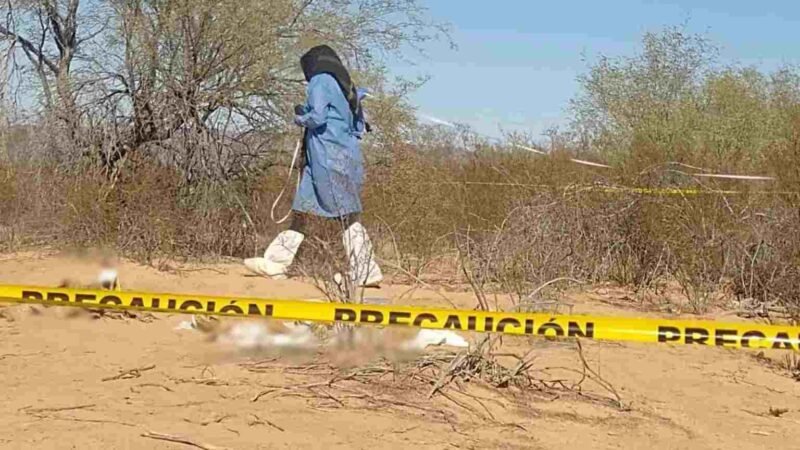 COLECTIVOS LOCALIZAN FOSA CLANDESTINA EN SONORA