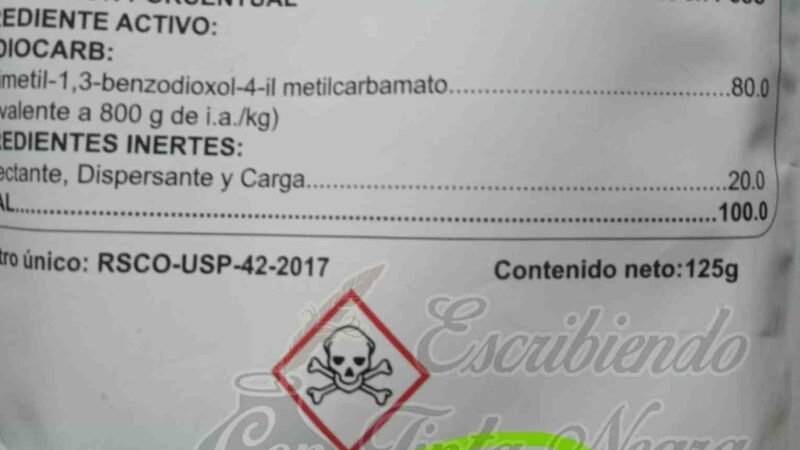 FRACASA LUCHA CONTRA DENGUE POR MALOS MANEJOS EN SSA
