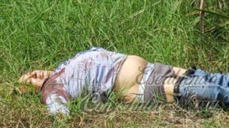 EJECUTADO EN OMEALCA