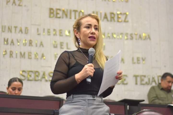 DEMANDA NORA LAGUNES REHABILITACIÓN DE CARRETERAS DE LAS ALTAS MONTAÑAS