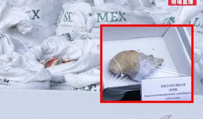 SEGALMEX SE DESLINDA DE METANFETAMINA OCULTA EN CONCHAS