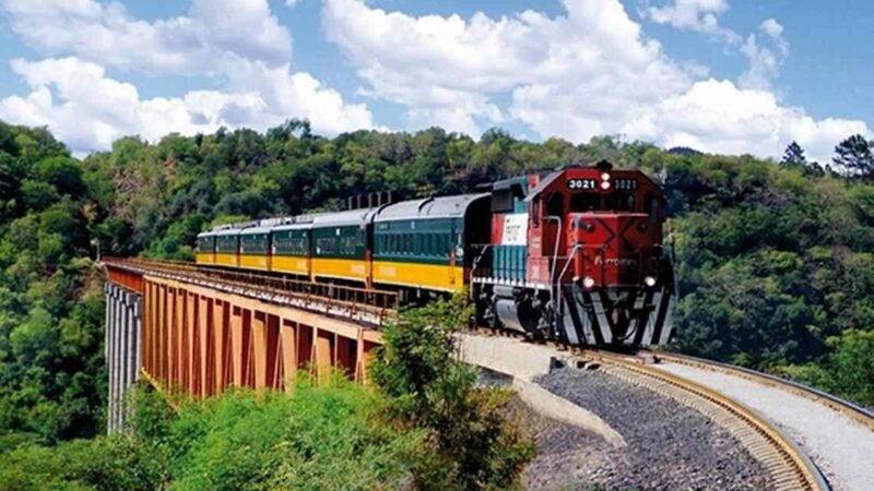 EMITEN DECRETO SOBRE TRENES DE PASAJEROS; SERÁN CONCESIONADAS 7 RUTAS