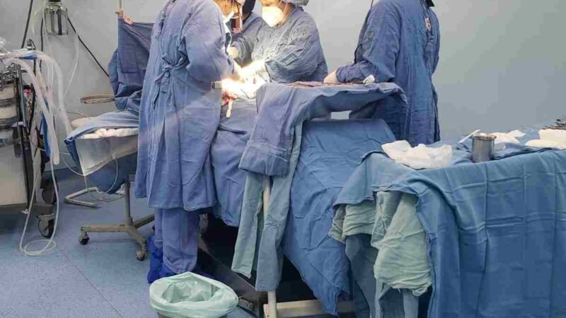 HABRÁ JORNADA DE CONTINUIDAD DE SERVICIOS EN EL IMSS