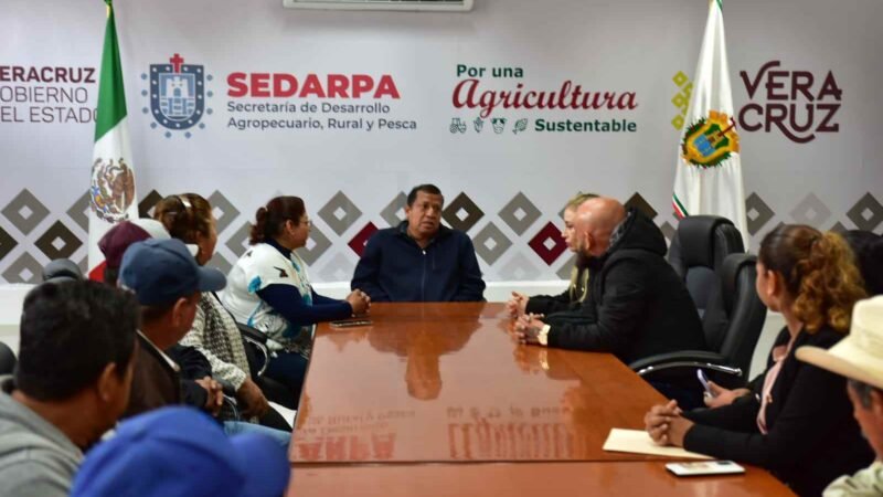PRODUCTORES DE MAÍZ EXIGEN APOYOS A SEDARPA