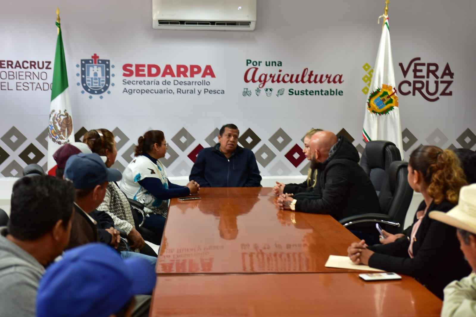 PRODUCTORES DE MAÍZ EXIGEN APOYOS A SEDARPA