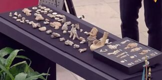 ALEMANIA DEVUELVE A MÉXICO 75 PIEZAS ARQUEOLÓGICAS