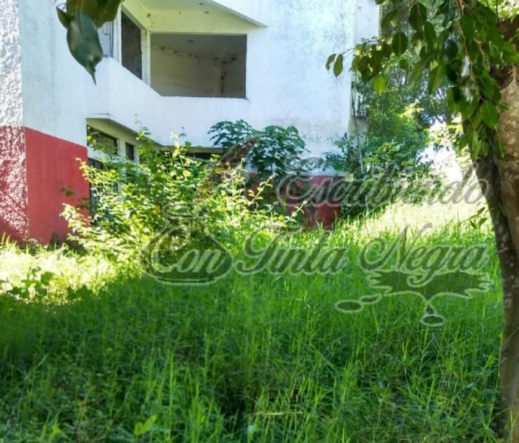 DESMANTELÓ ROBERTO SCHETTINO AL PRI