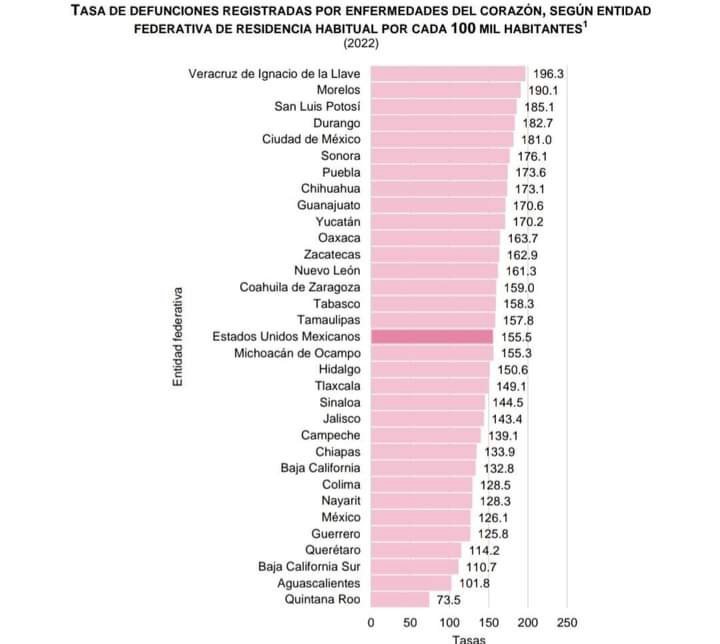 VERACRUZANOS MUEREN DEL CORAZÓN, DIABETES E HÍGADO