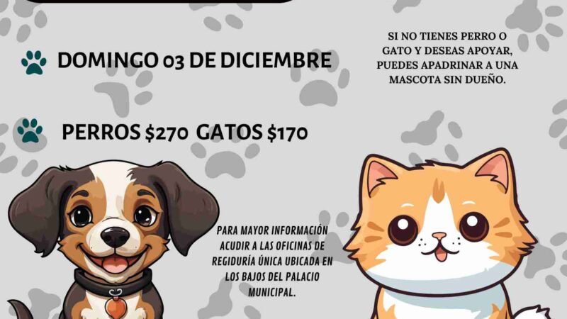 ANUNCIAN JORNADA DE ESTERILIZACIÓN EN CALCAHUALCO