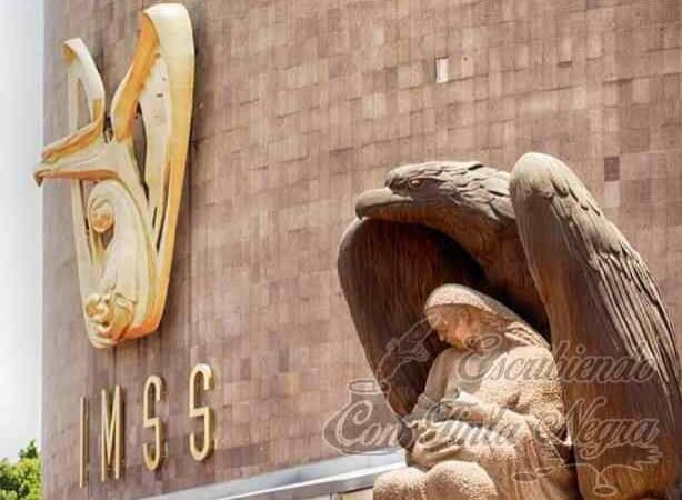 MUJER PERDIÓ A SU BEBÉ POR NEGLIGENCIA DEL IMSS; DETERMINA CNDH