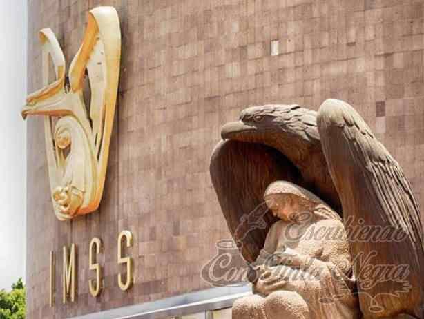 MUJER PERDIÓ A SU BEBÉ POR NEGLIGENCIA DEL IMSS; DETERMINA CNDH