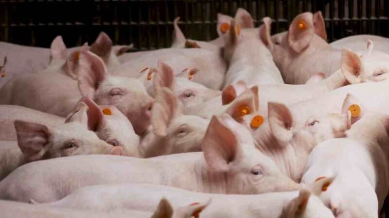 VENEZUELA Y GUYANA PACTAN REUNIÓN PARA DISCUTIR CONTROVERSIA FRONTERIZA