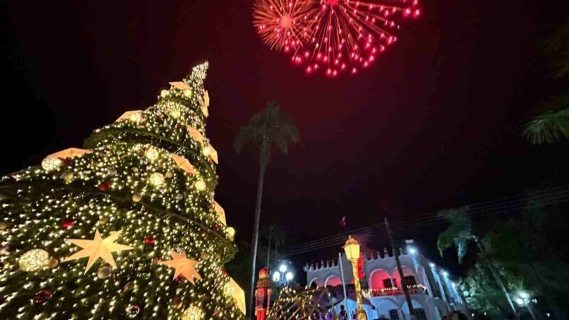 ESPECTACULAR ENCENDIDO DEL PINO EN FORTÍN