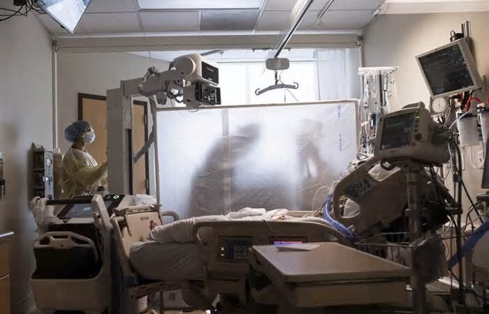 CONFIRMAN PRIMER CASO DE VARIANTE JN-1 DE COVID-19 EN CIUDAD DE MÉXICO