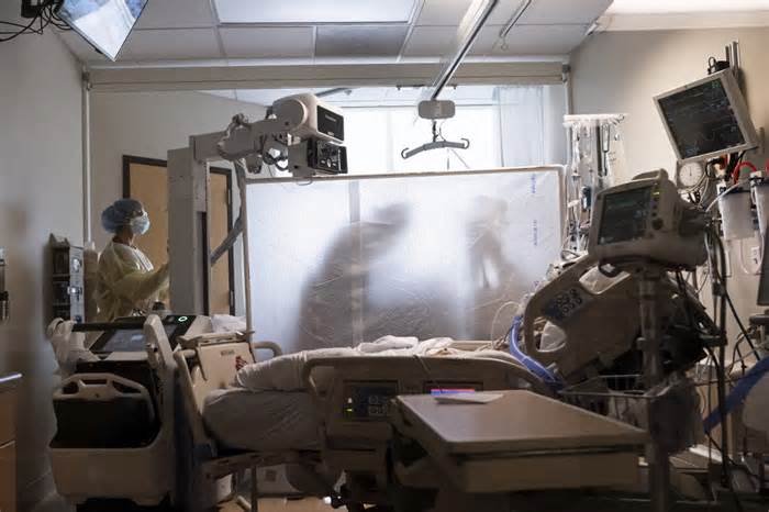 CONFIRMAN PRIMER CASO DE VARIANTE JN-1 DE COVID-19 EN CIUDAD DE MÉXICO