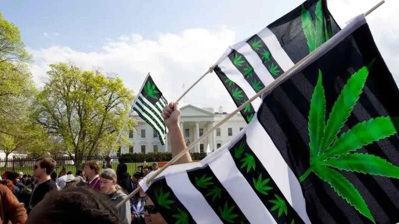 JOE BIDEN INDULTA A CONDENADOS POR POSESIÓN DE MARIHUANA
