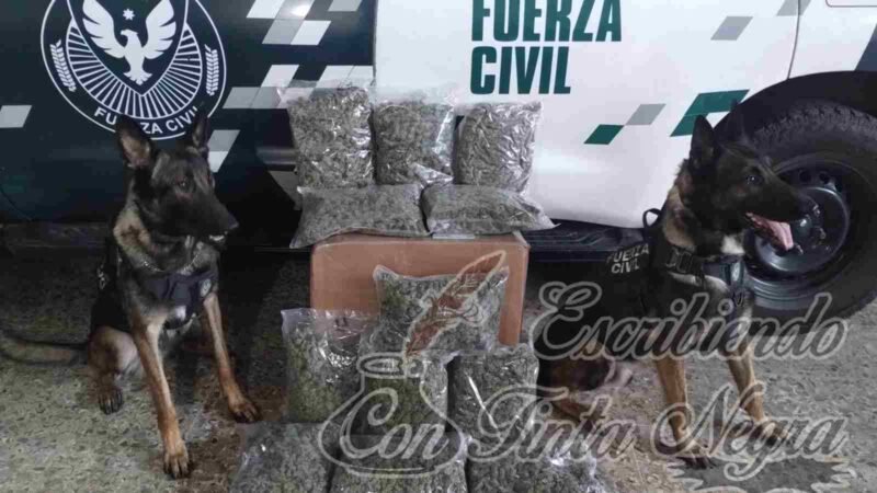 DECOMISA UNIDAD CANINA MAS DE 400 KILOS DE DROGA