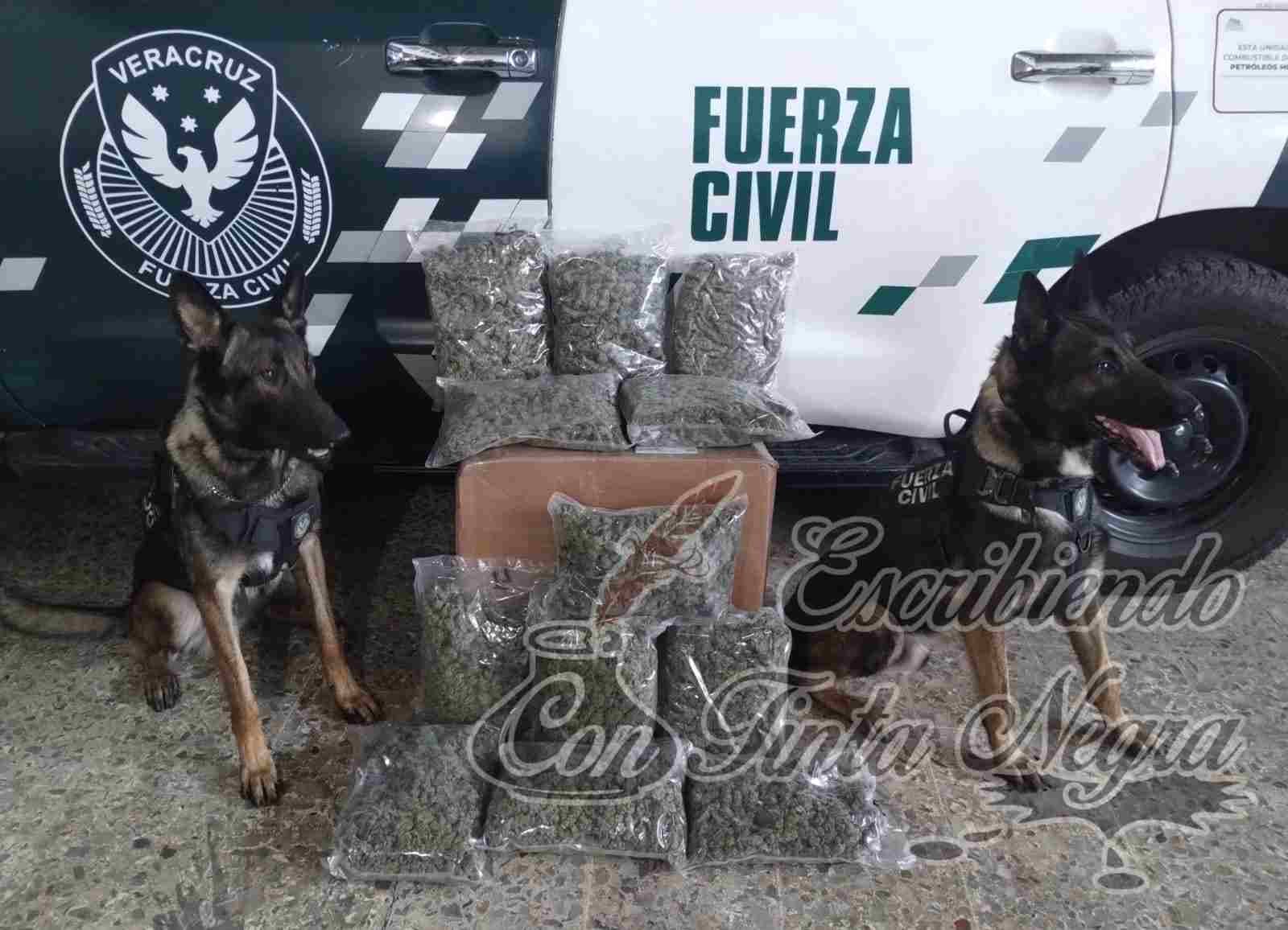 DECOMISA UNIDAD CANINA MAS DE 400 KILOS DE DROGA