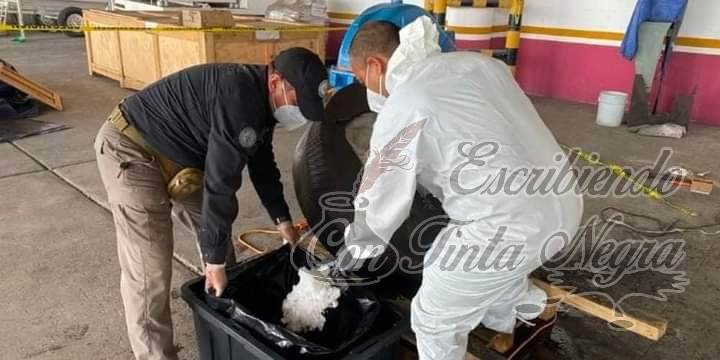 DROGA INCAUTADA EN EL PUERTO DE VERACRUZ TIENE UN COSTO DE 80 MILLONES DE PESOS