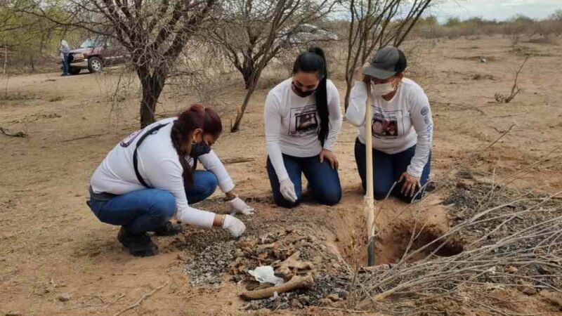 MADRES BUSCADORAS HALLAN 19 FOSAS CLANDESTINAS EN SONORA