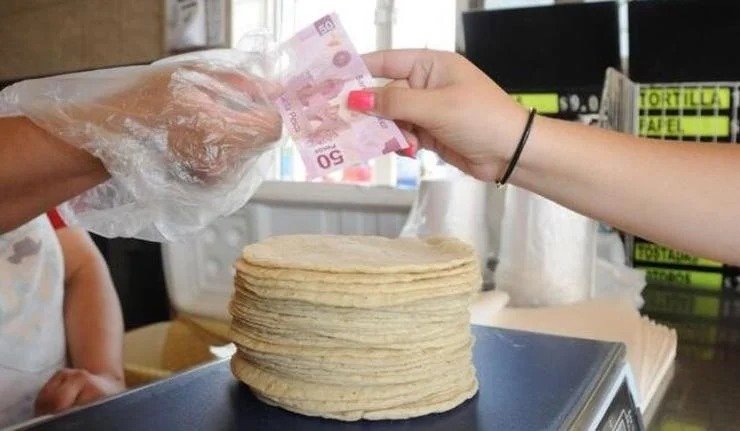 NO HABRÁ AUMENTO EN EL PRECIO DE HARINA DE MAÍZ EN 2024