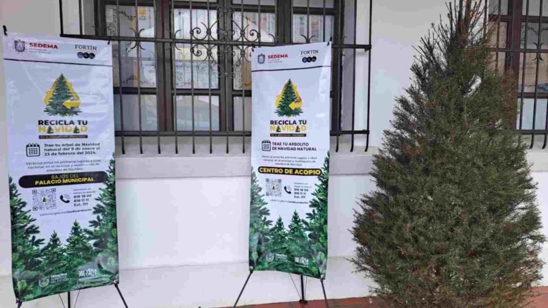 EXHORTA ECOLOGÍA A PARTICIPAR EN LA CAMPAÑA RECICLA TU NAVIDAD