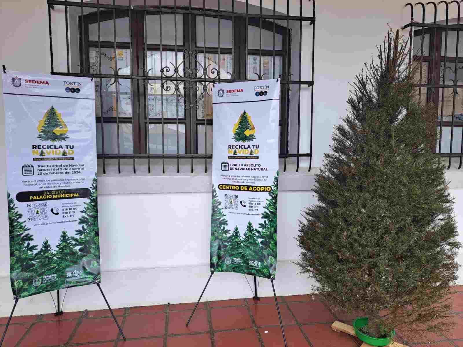 EXHORTA ECOLOGÍA A PARTICIPAR EN LA CAMPAÑA RECICLA TU NAVIDAD