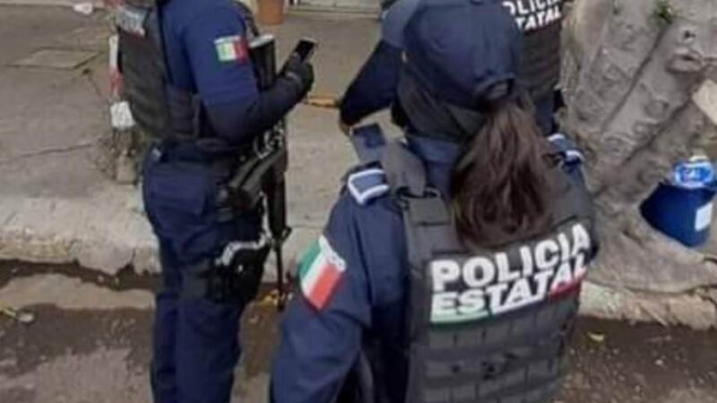 LO LOCALIZAN COLGADO DE UN ÁRBOL
