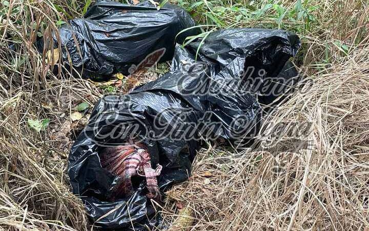 ENCUENTRAN “EMBOLSADOS”