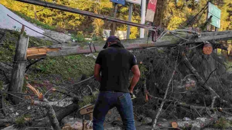 ATIENDEN AFECTACIONES TRAS SURADA EN FORTÍN